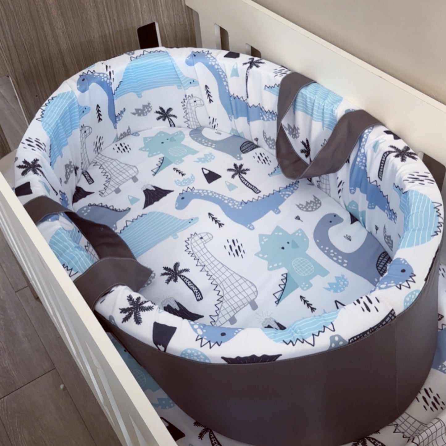Carry Cot - Dinosaur 04