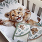 Crib set with lion cub design on a white crib | All Nursery Sets | Baby Bedding Sets South Africa | Soft Spot Kids | South Africa
