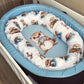Nest - Beaver 01